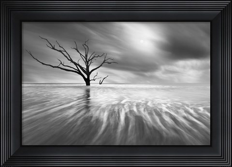 Framed Searching For Life Print
