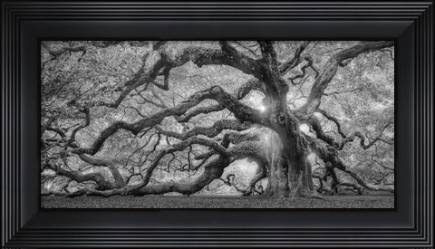 Framed Tree Of Light BW FL Print