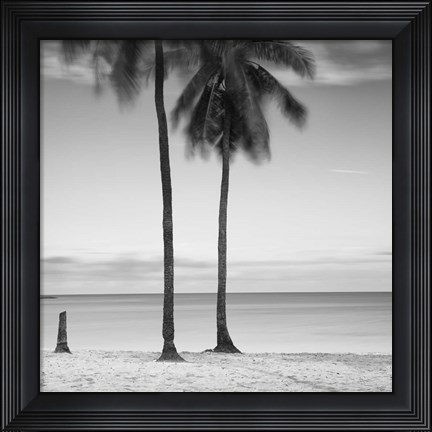 Framed 2 Palmeras Print