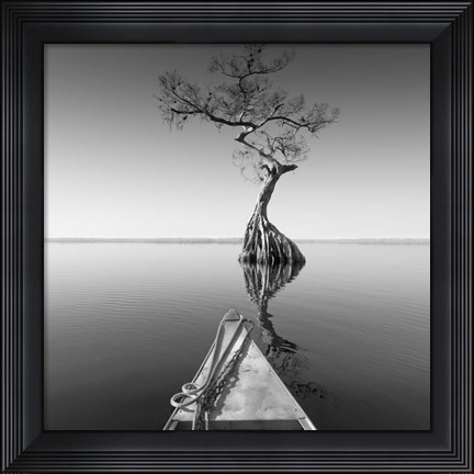 Framed Alone With My Tree Print