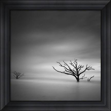 Framed Alone Print