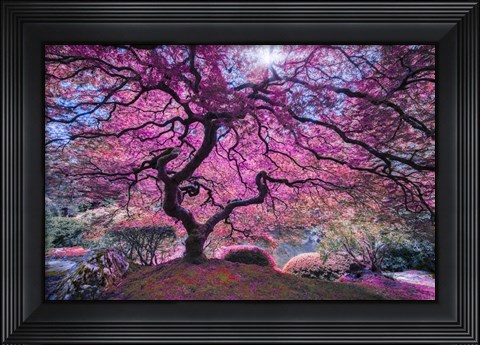 Framed Pink Tree 2 Print