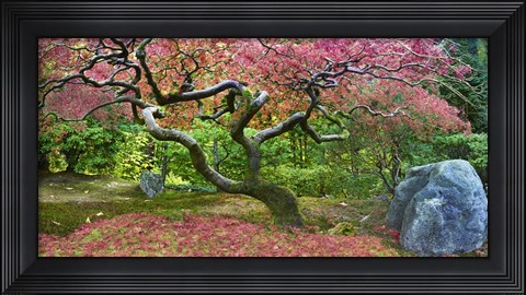 Framed Pink Tree Print