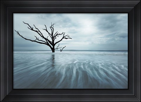 Framed Searching For Life Color Edit Print