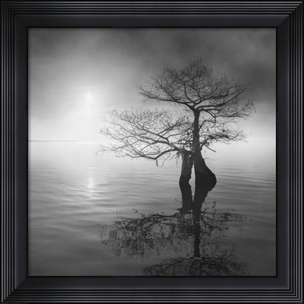 Framed Sunrise Fog Print