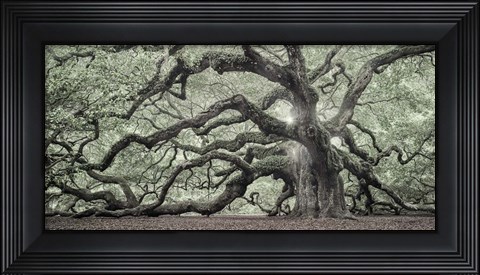 Framed Tree Of Light Color Fl 2 Print
