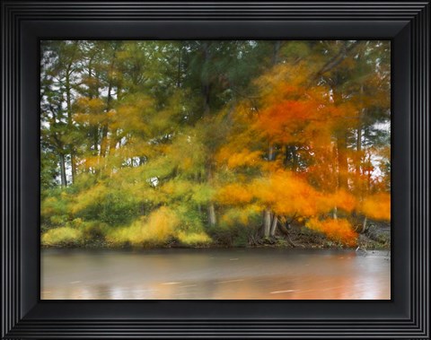 Framed Trees,Water and wind Print