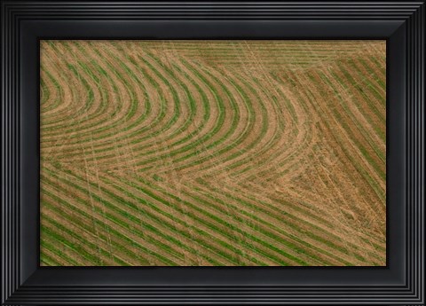 Framed Abstract Air 1-1 Print