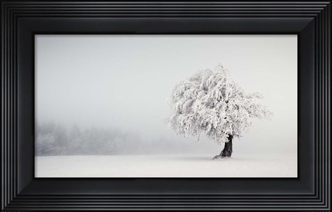 Framed Silence Print