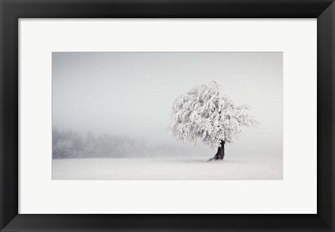 Framed Silence Print