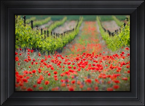 Framed Red District Print