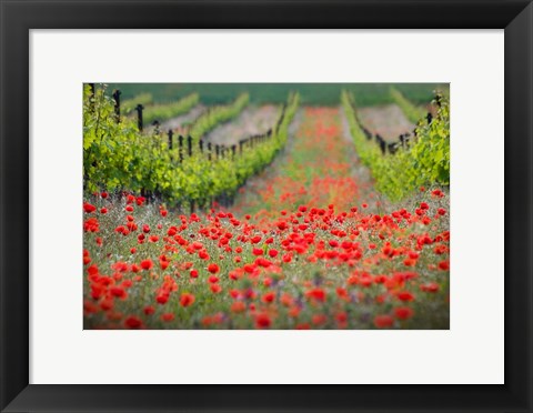 Framed Red District Print