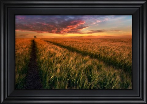 Framed Somewhere At Sunset Print