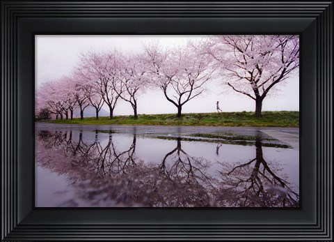 Framed Rain of Spring Print