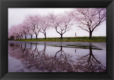 Framed Rain of Spring Print