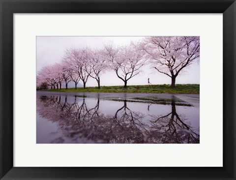 Framed Rain of Spring Print