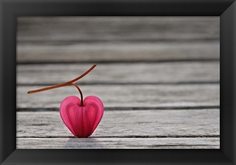 Framed Natural Heart Print