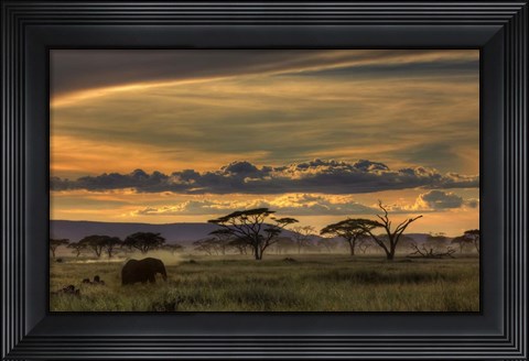 Framed Africa Print