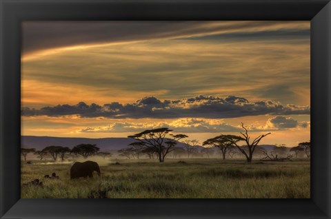 Framed Africa Print