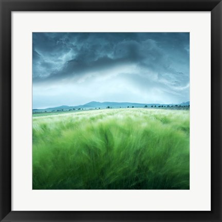 Framed Barley Field Print