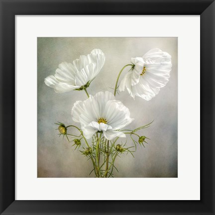 Framed Cosmos Charm Print