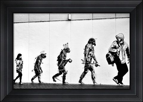 Framed Evolution Print