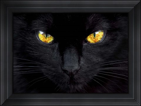 Framed Hypnotist of the Night Print