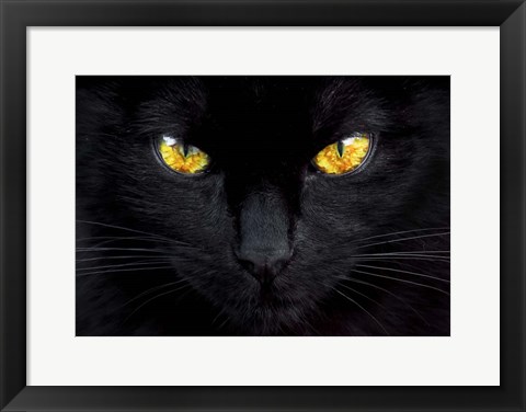 Framed Hypnotist of the Night Print