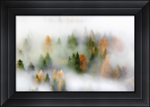 Framed Autumn Dream Print