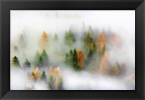 Framed Autumn Dream Print