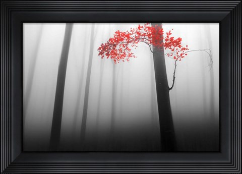 Framed Illusion Print