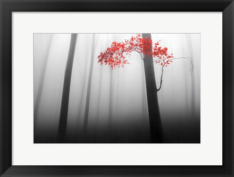 Framed Illusion Print