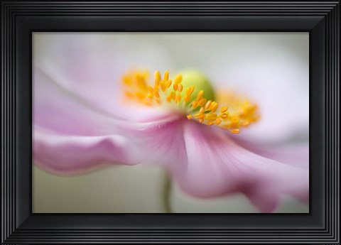 Framed Dreaminess Print
