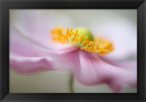 Framed Dreaminess Print