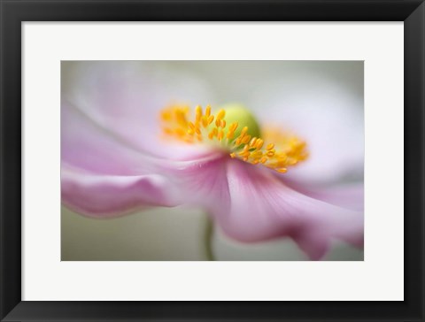 Framed Dreaminess Print