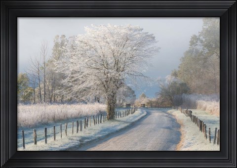 Framed Frosty Morning Print