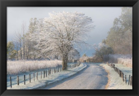 Framed Frosty Morning Print