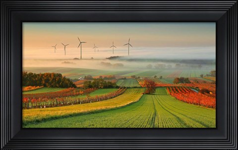 Framed Autumn Atmosphere In Vineyards Print