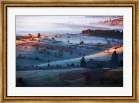 Framed Mist Print