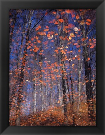 Framed Autumn Leaves Print