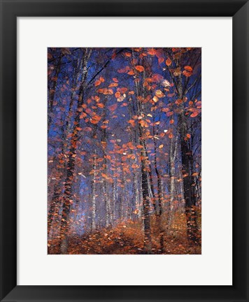 Framed Autumn Leaves Print