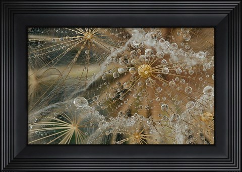 Framed Starless Print