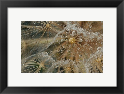 Framed Starless Print