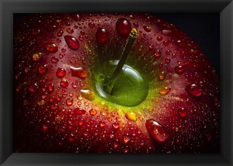 Framed Red Apple Print