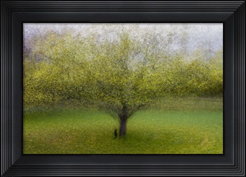 Framed Cat By the Tree Print
