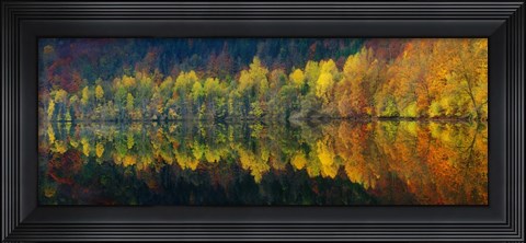 Framed Autumnal Silence Print