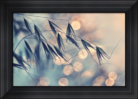Framed Sun Spots Print