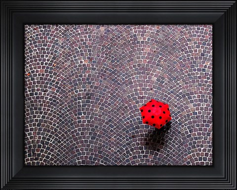 Framed Urban Ladybug Print