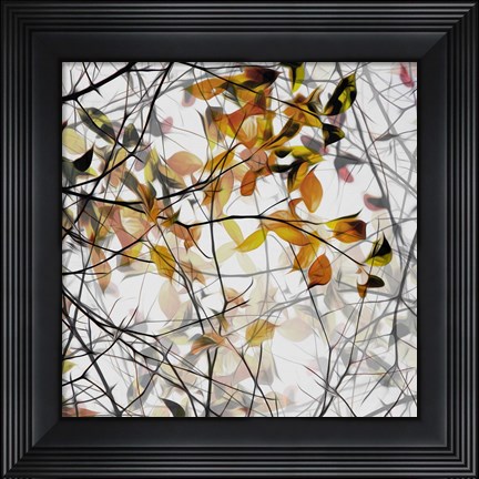 Framed Autumn Song Print