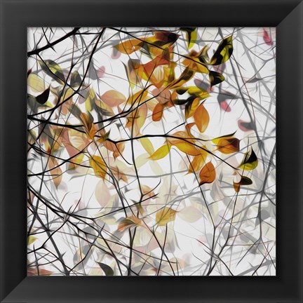 Framed Autumn Song Print